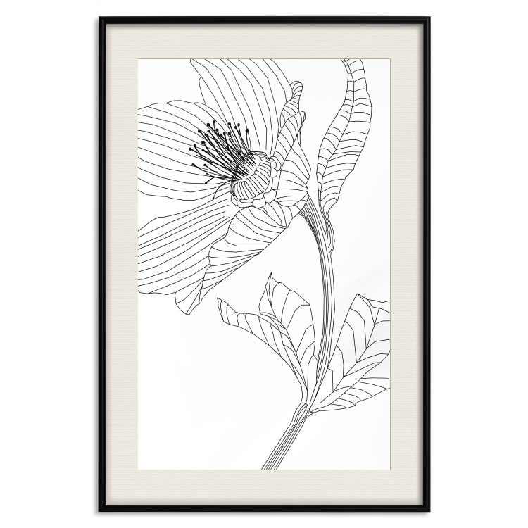 Wall Poster Spring Sketch - abstract black line art of plant on white background 128408 additionalImage 19