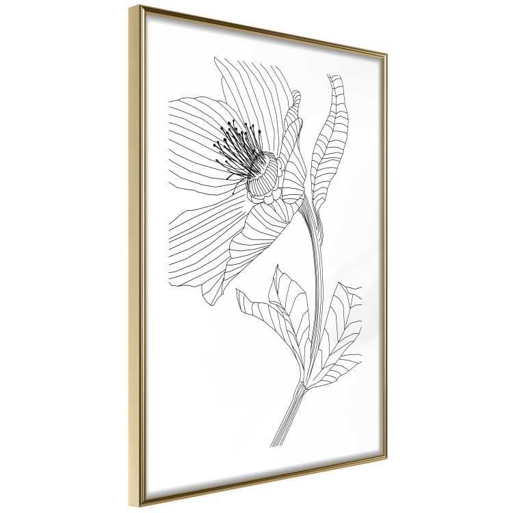 Wall Poster Spring Sketch - abstract black line art of plant on white background 128408 additionalImage 11