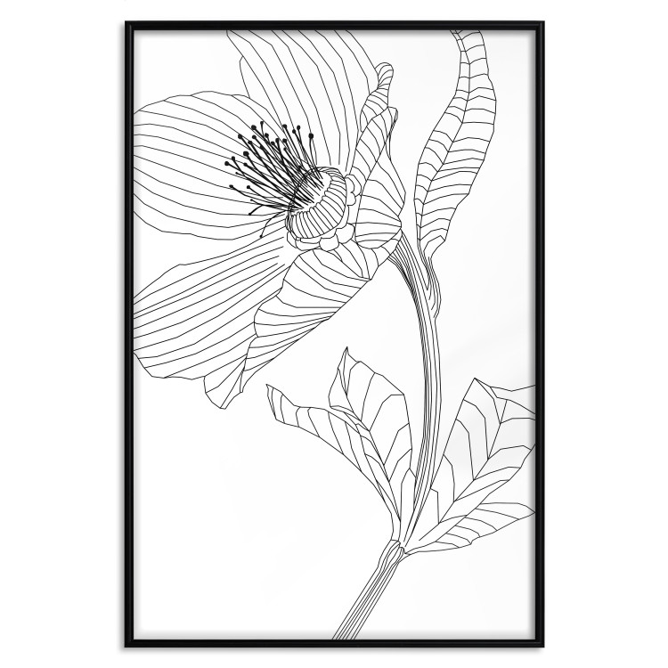 Wall Poster Spring Sketch - abstract black line art of plant on white background 128408 additionalImage 16