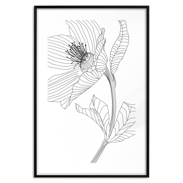 Wall Poster Spring Sketch - abstract black line art of plant on white background 128408 additionalImage 15