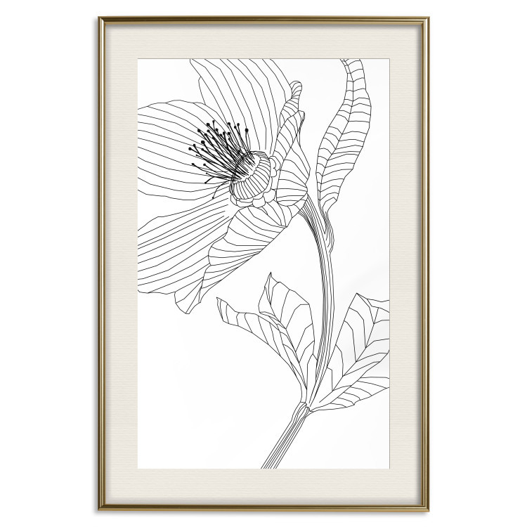 Wall Poster Spring Sketch - abstract black line art of plant on white background 128408 additionalImage 20