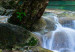 Large canvas print Nature: Forest Waterfall II [Large Format] 128708 additionalThumb 5