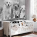 Photo Wallpaper Four Puppies 129008 additionalThumb 5