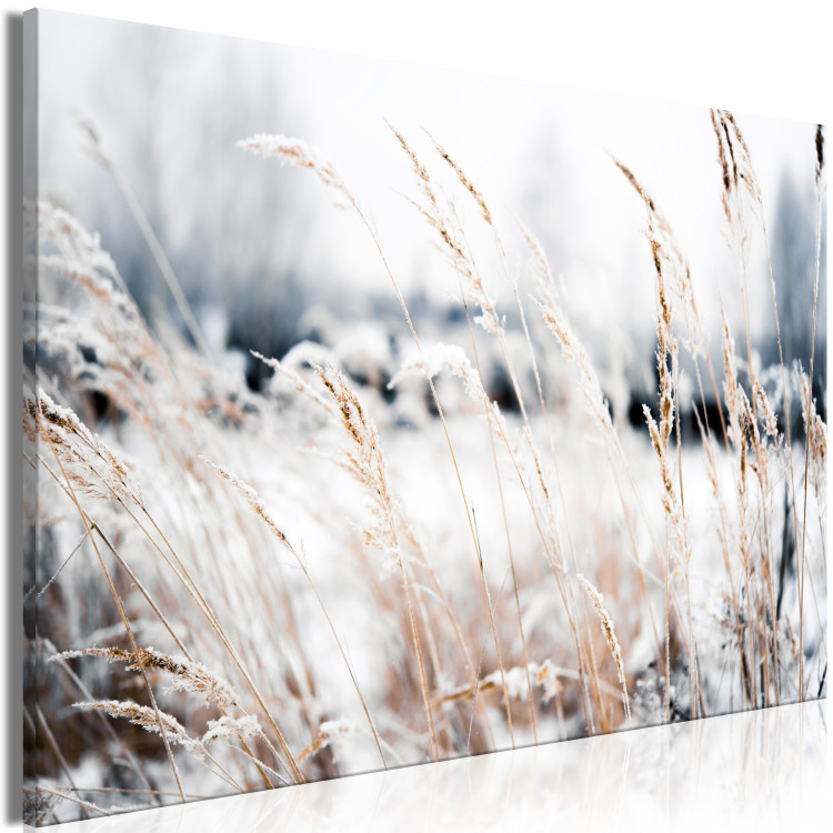 Canvas Ice Land (1-piece) Wide - meadow landscape in winter scenery 129808 additionalImage 2