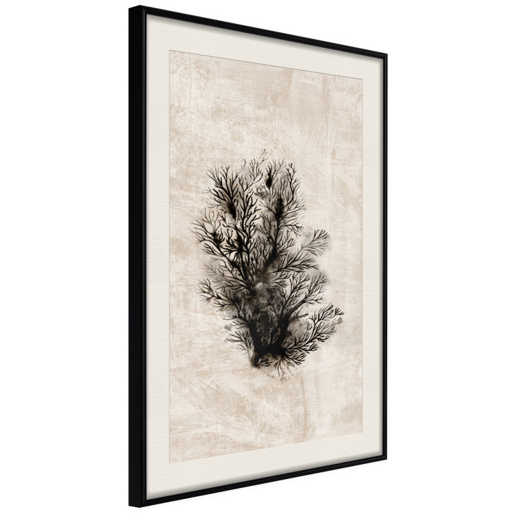 Poster Oceanic Flora - black plant composition on a beige textured background 134508 additionalImage 2