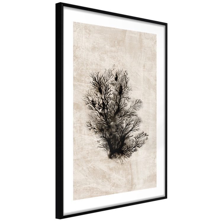 Poster Oceanic Flora - black plant composition on a beige textured background 134508 additionalImage 8