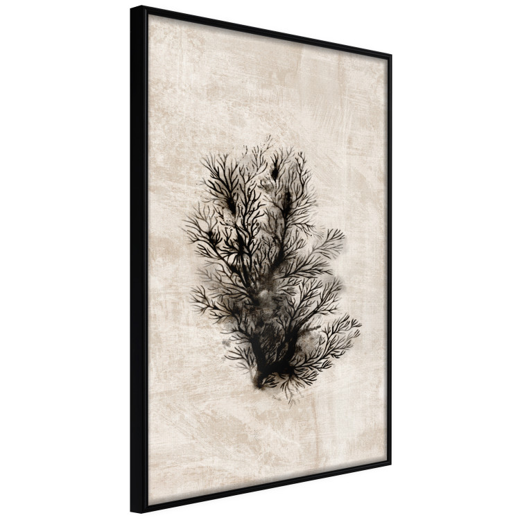 Poster Oceanic Flora - black plant composition on a beige textured background 134508 additionalImage 11