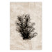 Poster Oceanic Flora - black plant composition on a beige textured background 134508