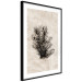 Poster Oceanic Flora - black plant composition on a beige textured background 134508 additionalThumb 8
