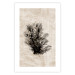 Poster Oceanic Flora - black plant composition on a beige textured background 134508 additionalThumb 19