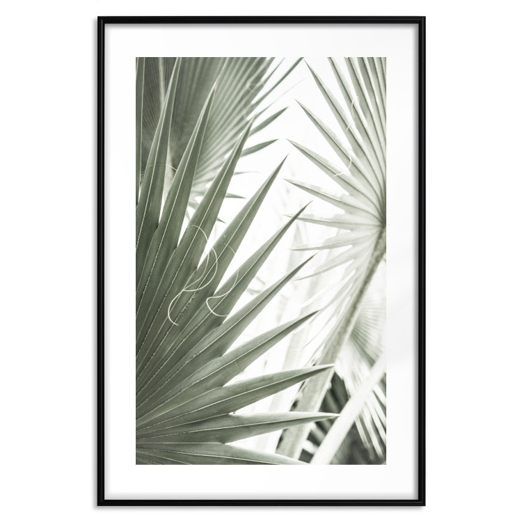Wall Poster Great Brilliance - tropical composition of green leaves on a light background 135308 additionalImage 26