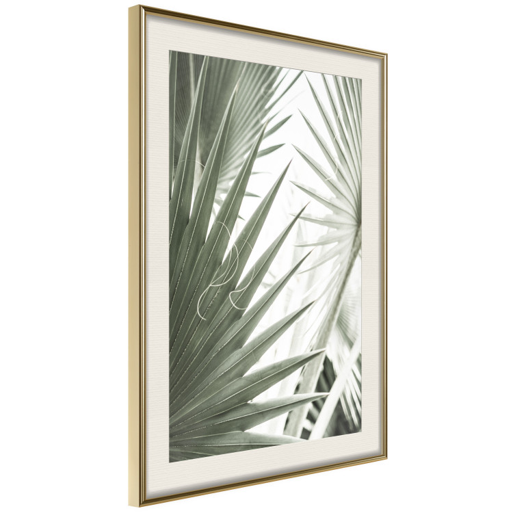 Wall Poster Great Brilliance - tropical composition of green leaves on a light background 135308 additionalImage 15