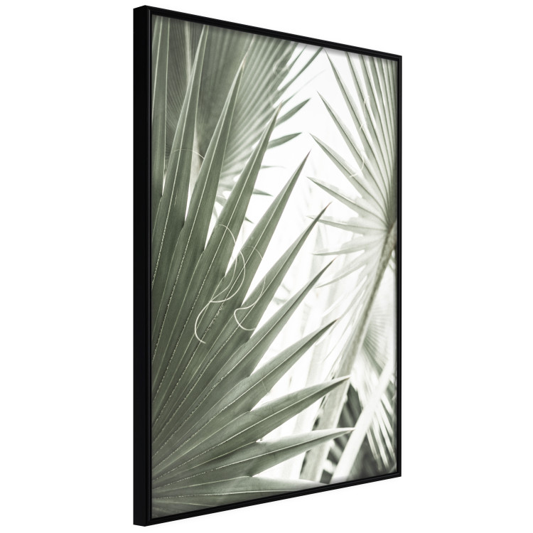 Wall Poster Great Brilliance - tropical composition of green leaves on a light background 135308 additionalImage 19
