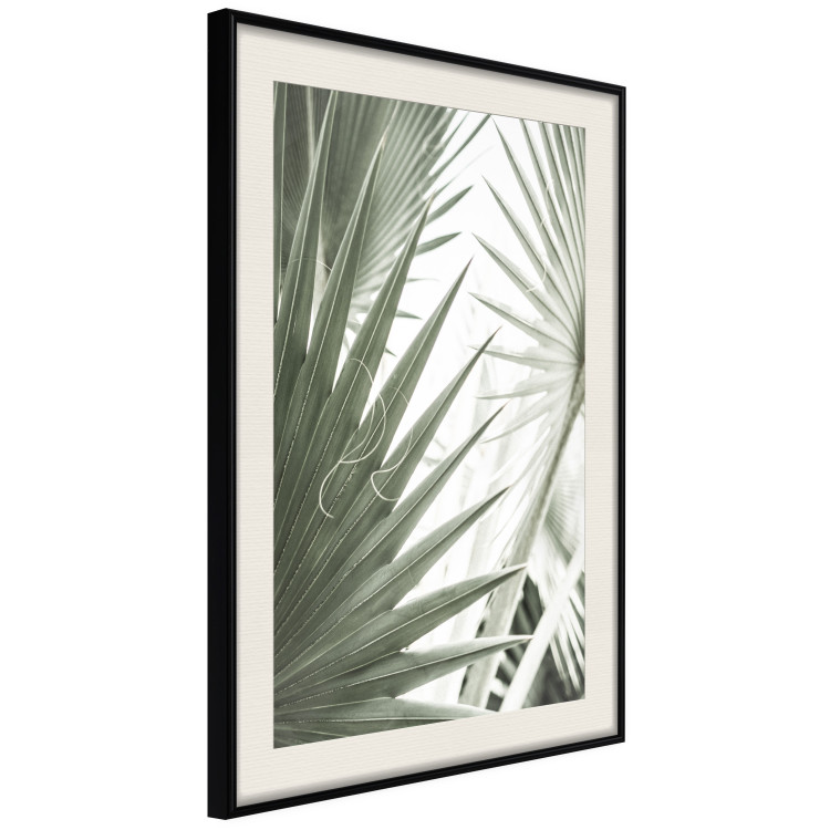 Wall Poster Great Brilliance - tropical composition of green leaves on a light background 135308 additionalImage 14