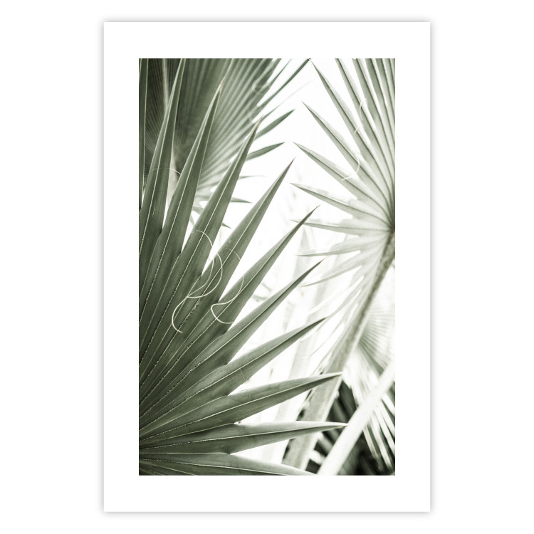 Wall Poster Great Brilliance - tropical composition of green leaves on a light background 135308 additionalImage 3
