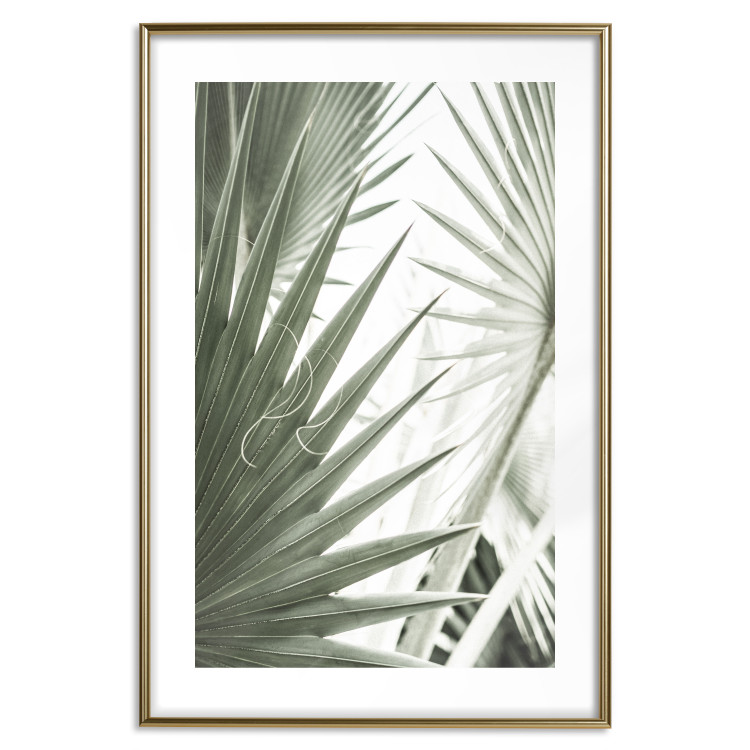 Wall Poster Great Brilliance - tropical composition of green leaves on a light background 135308 additionalImage 18