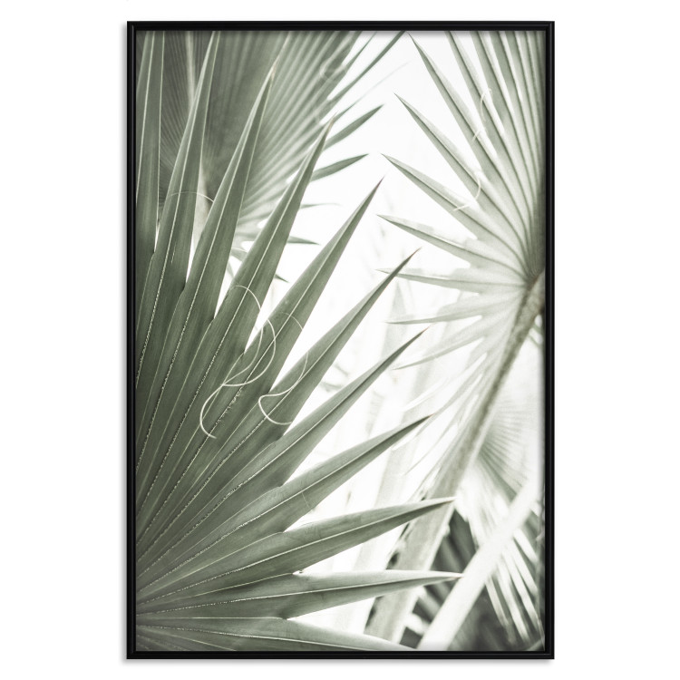 Wall Poster Great Brilliance - tropical composition of green leaves on a light background 135308 additionalImage 2