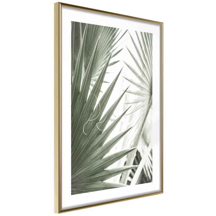 Wall Poster Great Brilliance - tropical composition of green leaves on a light background 135308 additionalImage 12