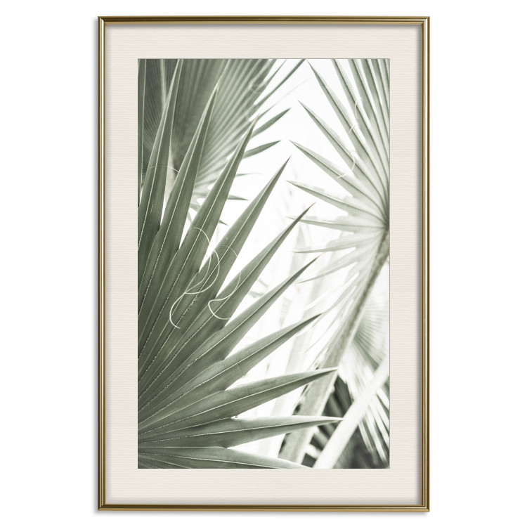 Wall Poster Great Brilliance - tropical composition of green leaves on a light background 135308 additionalImage 23