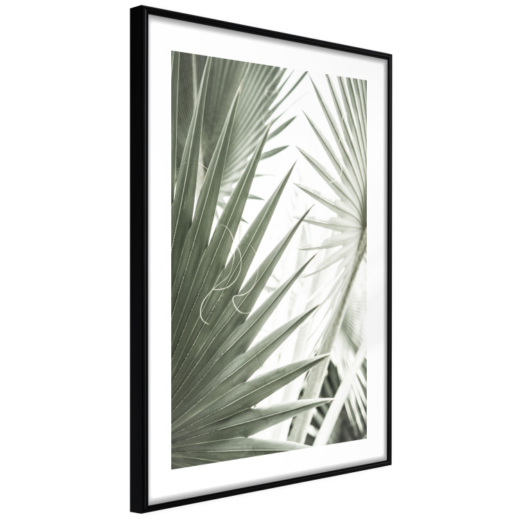 Wall Poster Great Brilliance - tropical composition of green leaves on a light background 135308 additionalImage 16