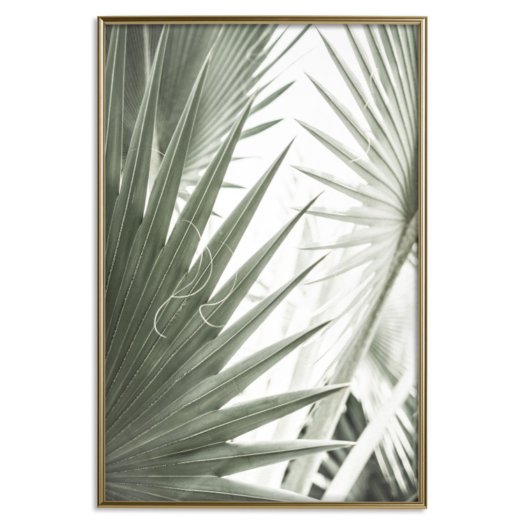 Wall Poster Great Brilliance - tropical composition of green leaves on a light background 135308 additionalImage 13