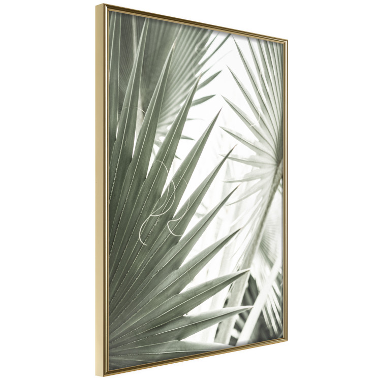 Wall Poster Great Brilliance - tropical composition of green leaves on a light background 135308 additionalImage 18