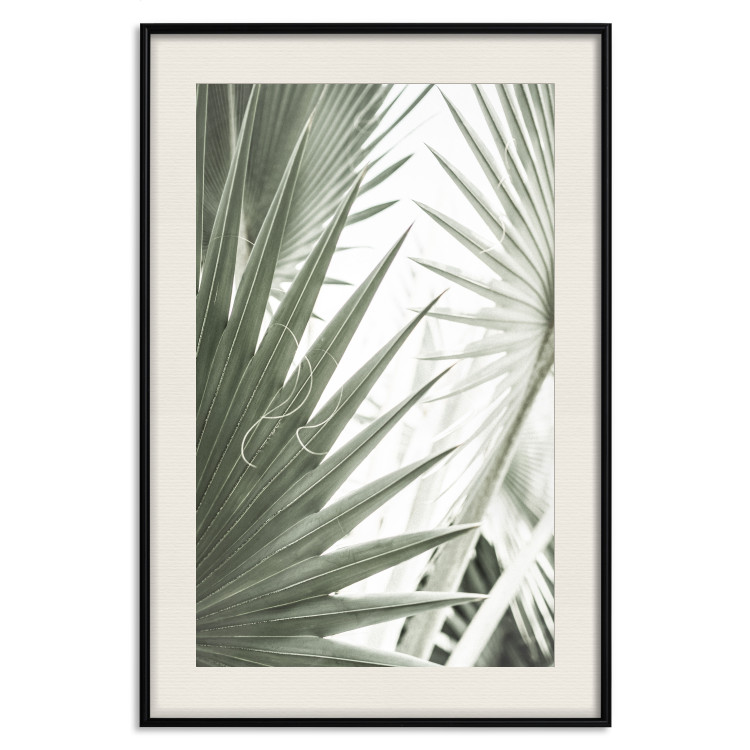 Wall Poster Great Brilliance - tropical composition of green leaves on a light background 135308 additionalImage 24