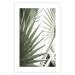 Wall Poster Great Brilliance - tropical composition of green leaves on a light background 135308 additionalThumb 3