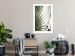 Wall Poster Great Brilliance - tropical composition of green leaves on a light background 135308 additionalThumb 12