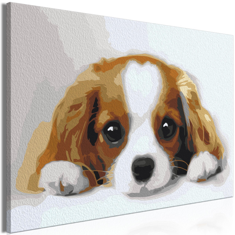 Paint by number Sweet Puppy 142408 additionalImage 6