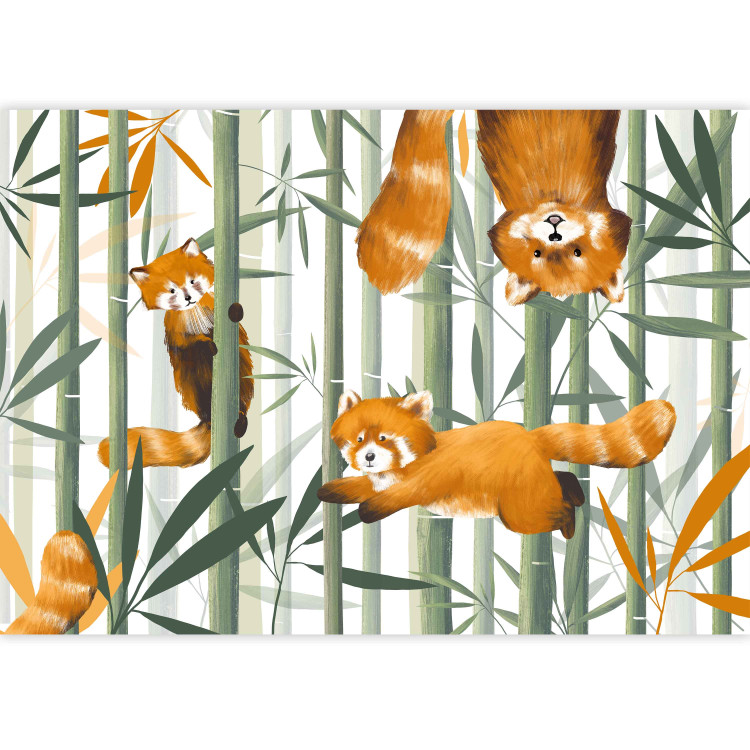 Wall Mural Happy Red Pandas 146408 additionalImage 3