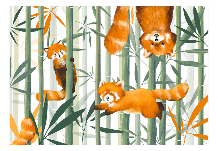 Wall Mural Happy Red Pandas 146408 additionalImage 1