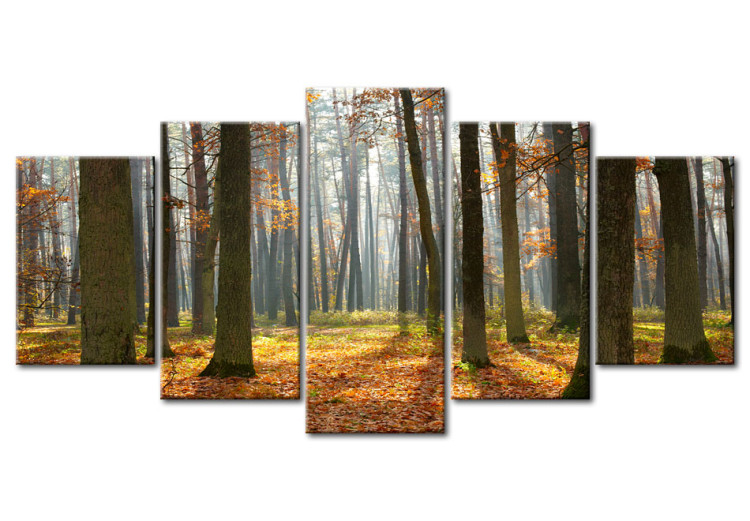 Canvas A nice forest landscape 58508