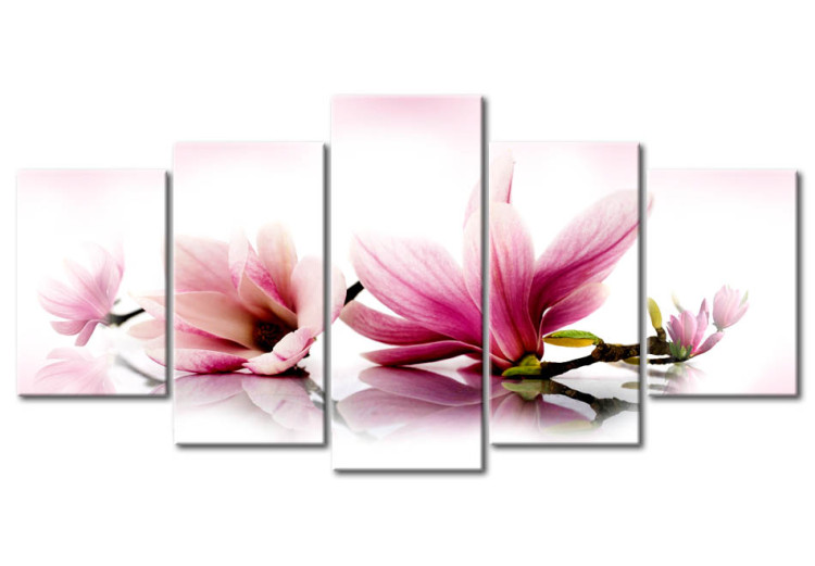 Canvas Art Print Pink magnolias 58708