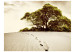 Photo Wallpaper Tree in the desert 59908 additionalThumb 1