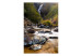 Wall Mural Mountain Stream - River Landscape with Waterfall among Green Trees of the Forest 60008 additionalThumb 1