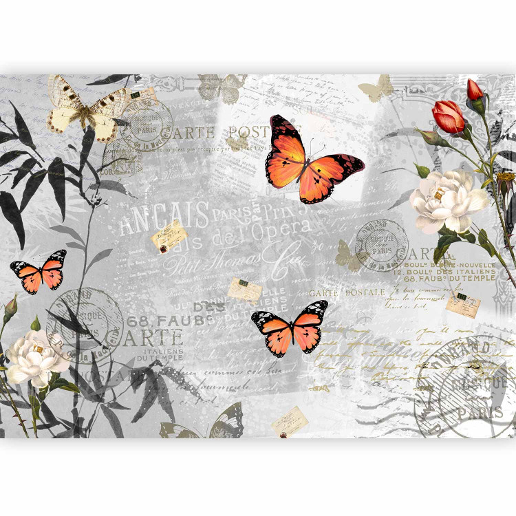 Wall Mural Postcard with Nature - Butterflies on a gray and white background with captions and flowers 61308 additionalImage 5