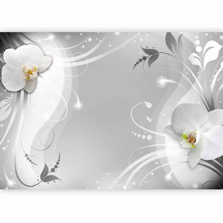 Photo Wallpaper Charming orchid 97308 additionalImage 5