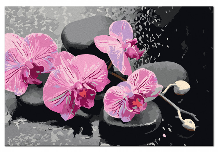Paint by number Orchid With Zen Stones (Black Background) 107518 additionalImage 6