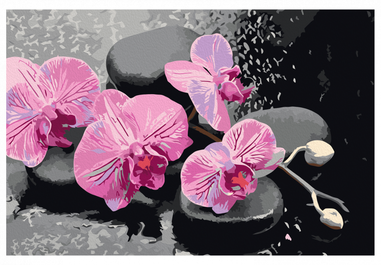 Paint by number Orchid With Zen Stones (Black Background) 107518 additionalImage 7