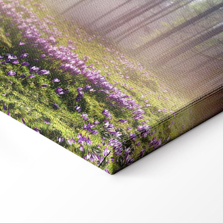 Canvas Print Purple Meadow (1-part) Wide - Landscape of Forest and Spring Flowers 108218 additionalImage 6