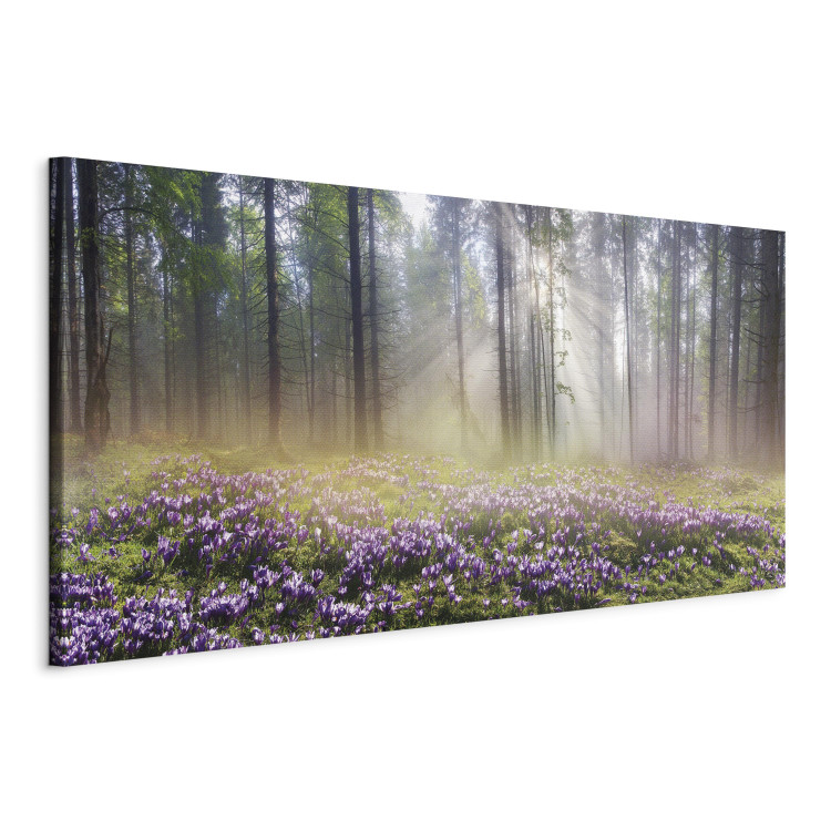 Canvas Print Purple Meadow (1-part) Wide - Landscape of Forest and Spring Flowers 108218 additionalImage 2