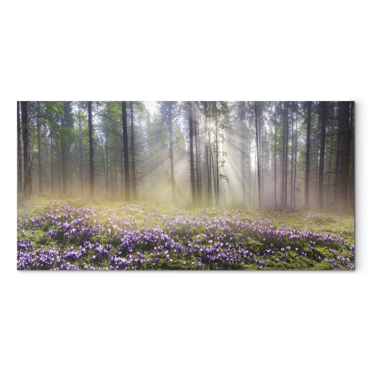 Canvas Print Purple Meadow (1-part) Wide - Landscape of Forest and Spring Flowers 108218