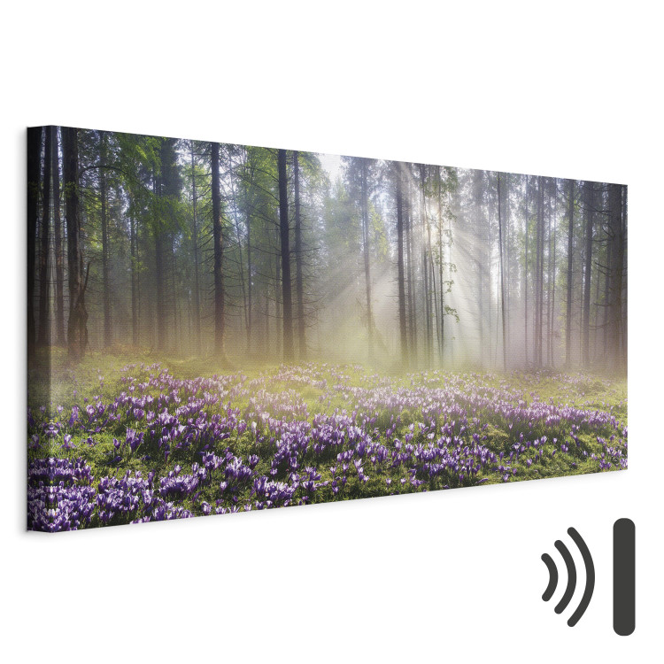 Canvas Print Purple Meadow (1-part) Wide - Landscape of Forest and Spring Flowers 108218 additionalImage 8