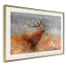Poster Roaring Deer - woodland animal against an autumnal field landscape 114418 additionalThumb 2