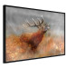 Poster Roaring Deer - woodland animal against an autumnal field landscape 114418 additionalThumb 12
