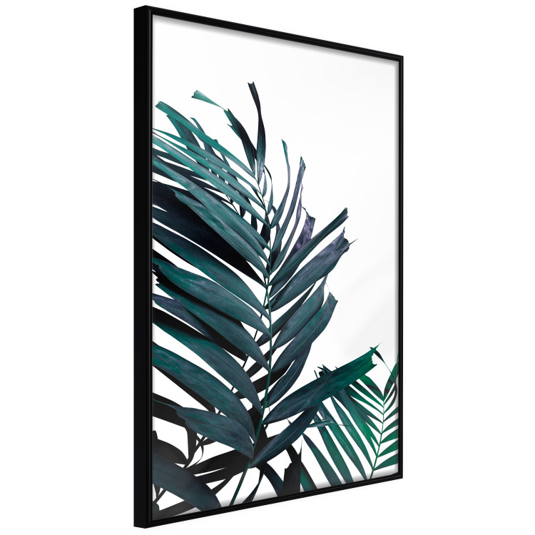 Wall art collection Welcome To The Jungle 124740 additionalImage 5