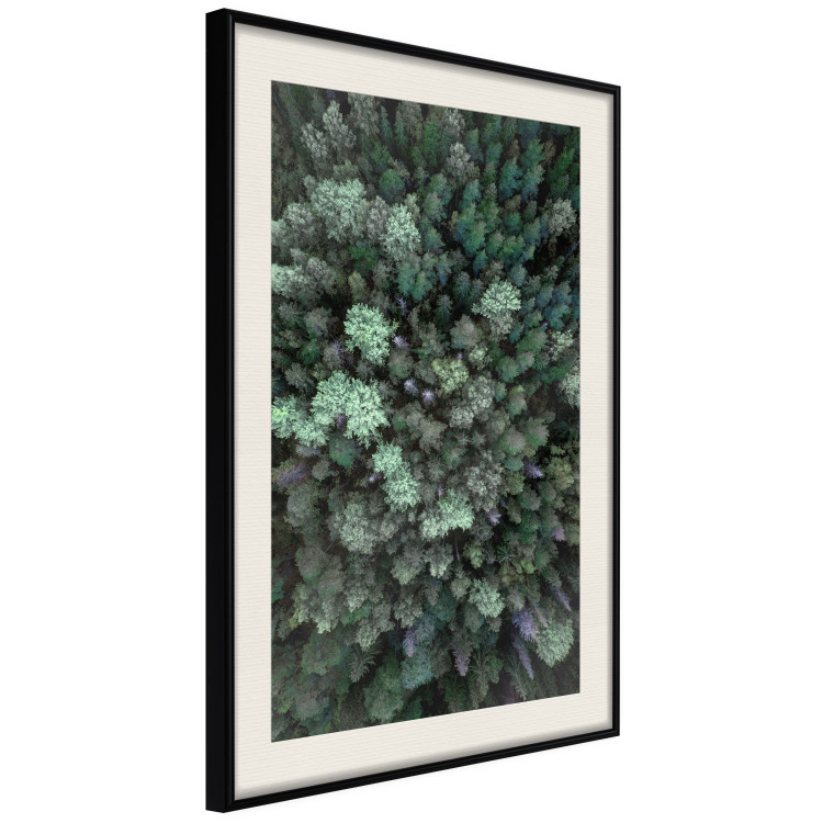 Wall Poster Flight Over the Forest - composition with coniferous trees seen from above 117118 additionalImage 3