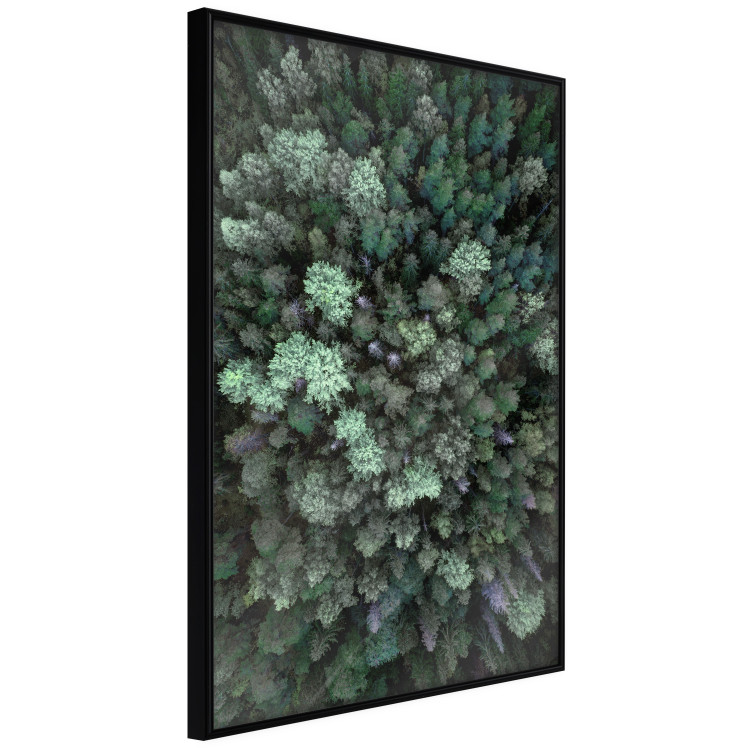 Wall gallery set Soothing nature 129680 additionalImage 6