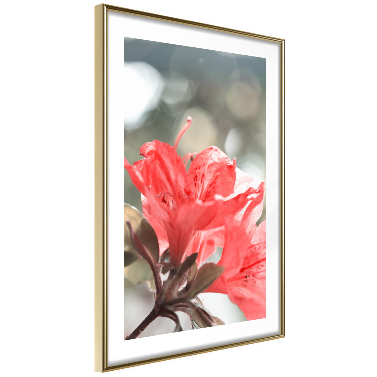 Wall Poster Red Flowers - botanical composition with intensely colored plants 121618 additionalImage 6